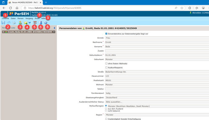 Der Screenshot zeigt die Menüzeile in PerSEH.